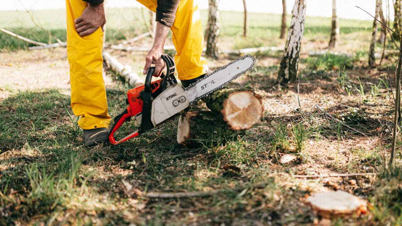 Best Tree Pruning Services  in Kincheloe, MI